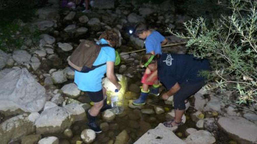 S’organitzen captures de crancs de riu invasors a la riera de Merlès