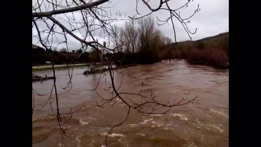 Crecida del río Aliste