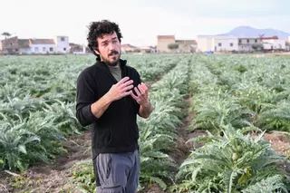 Estas son las condiciones para el relevo generacional en el campo de Alicante: tres años de actividad y menos de 65 años