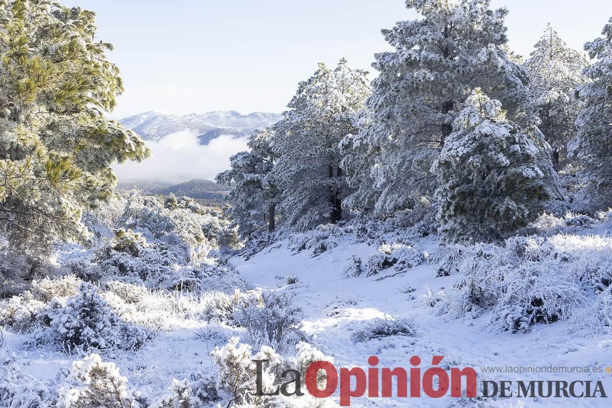 Descubre dónde queda acumulación de nieve en la Región de Murcia