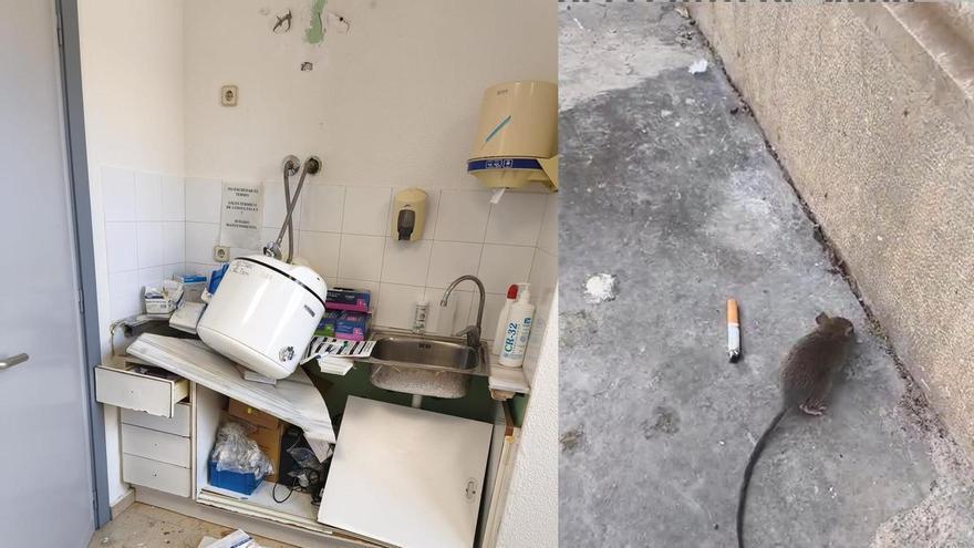 Médicos y enfermeras denuncian la degradación del centro de salud de s'Escorxador: "Hay ratas y las instalaciones están en estado deplorable"