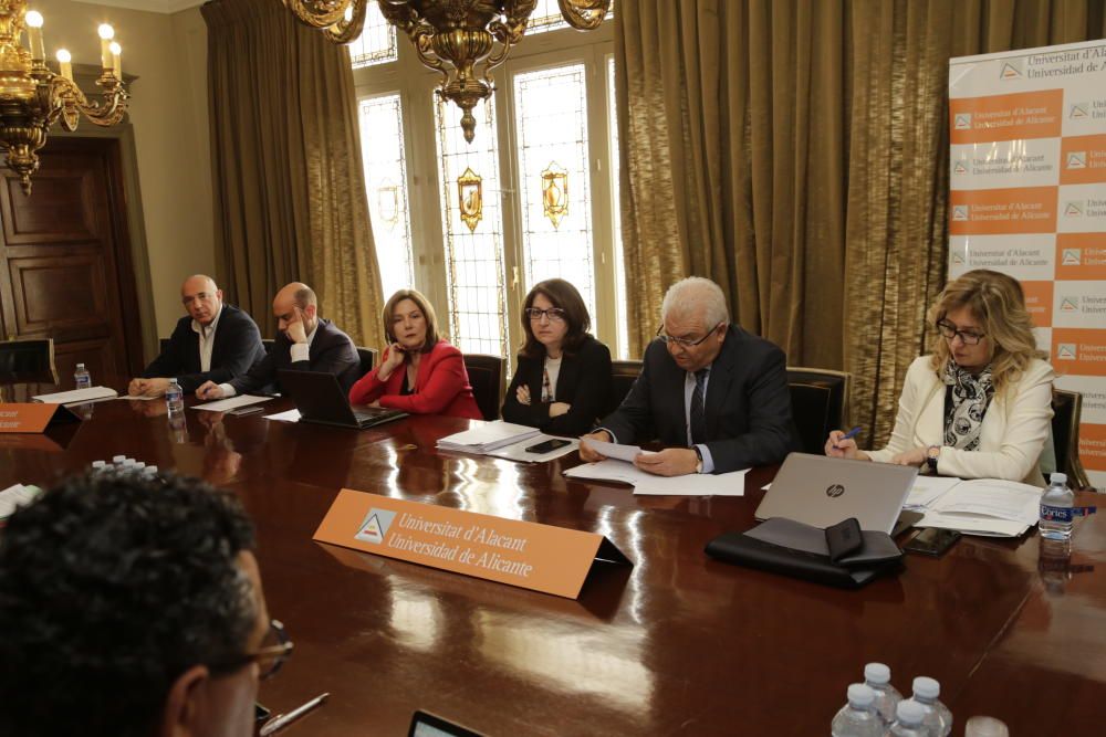 El Consejo Social de la Universidad de Alicante homenajea a Luisa Pastor