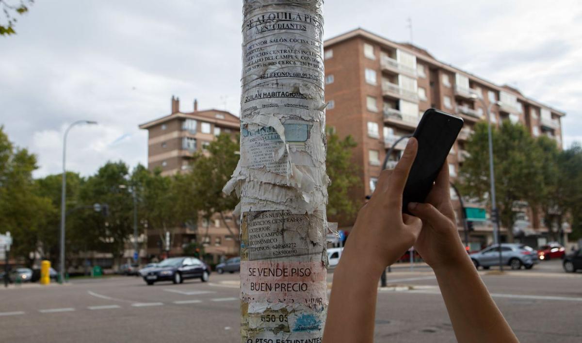 Una joven fotografía un cartel de un anuncio para alquilar un piso. | Ana Burrieza (Archivo)