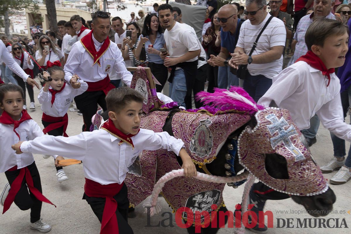 Fiestas de Caravaca | Desfile infantil del Bando de los Caballos del Vino