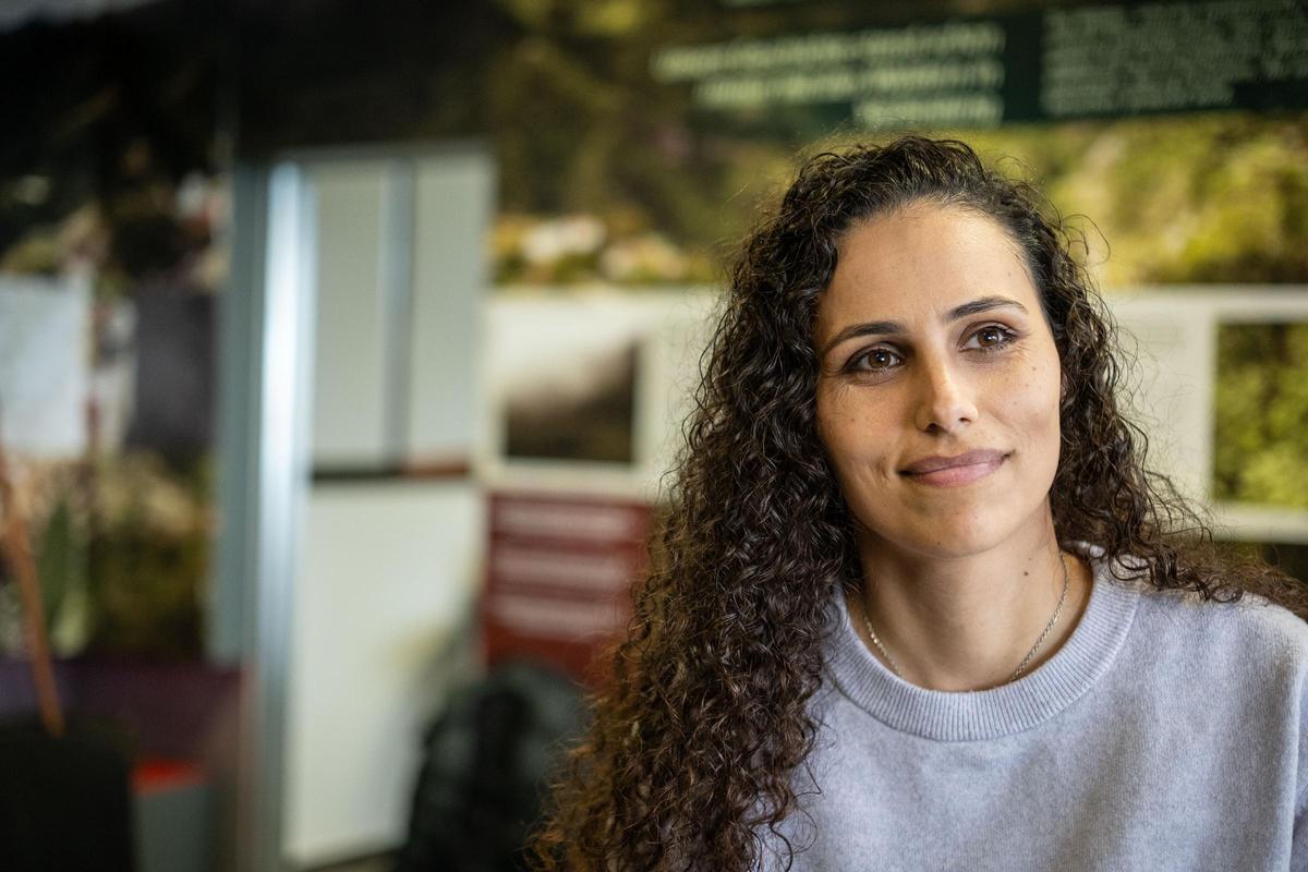 Un viaje a la Anaga profunda: Taborno