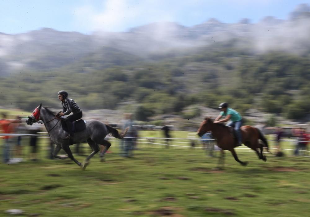 Fiesta del Pastor en el lago Enol