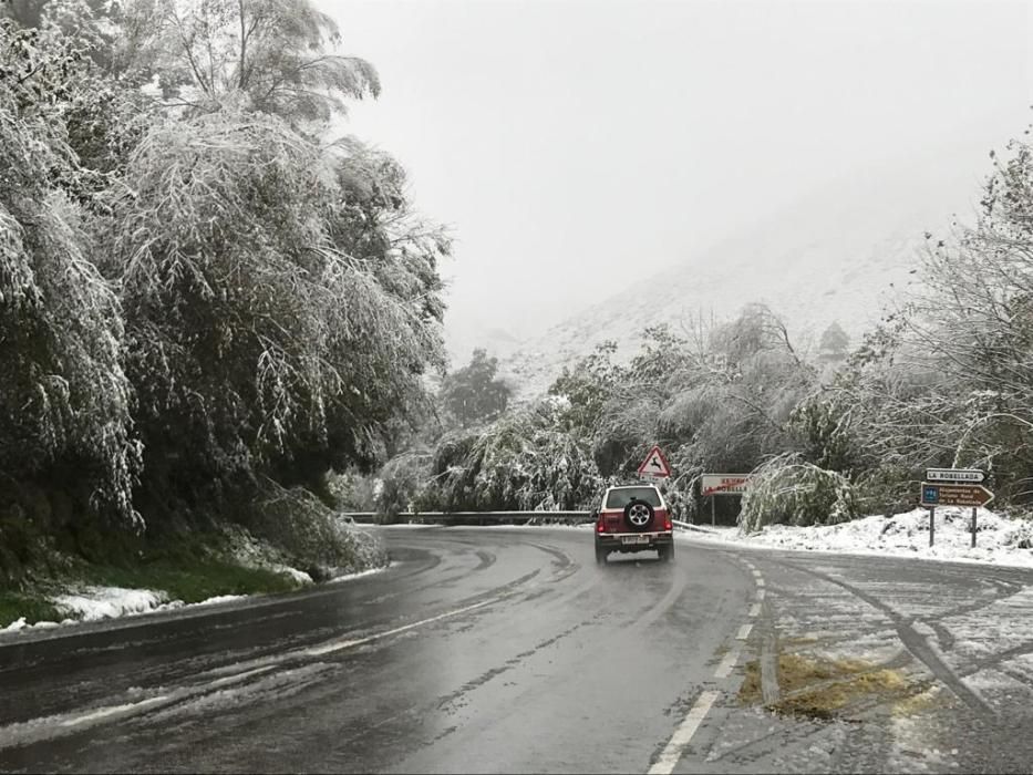 AS 114 entre Robellada y Benia de Onís