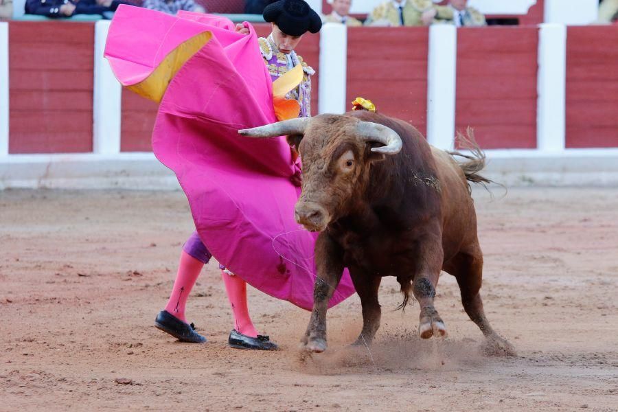 Tarde de toros en Zamora