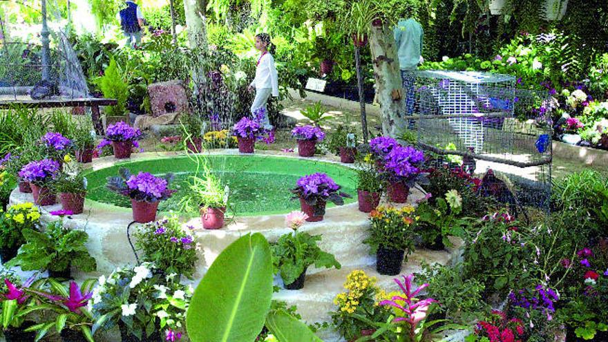Santa Brígida celebra los 50 años de Florabrígida con concursos de fotografía y pintura y 1.300 euros en premios
