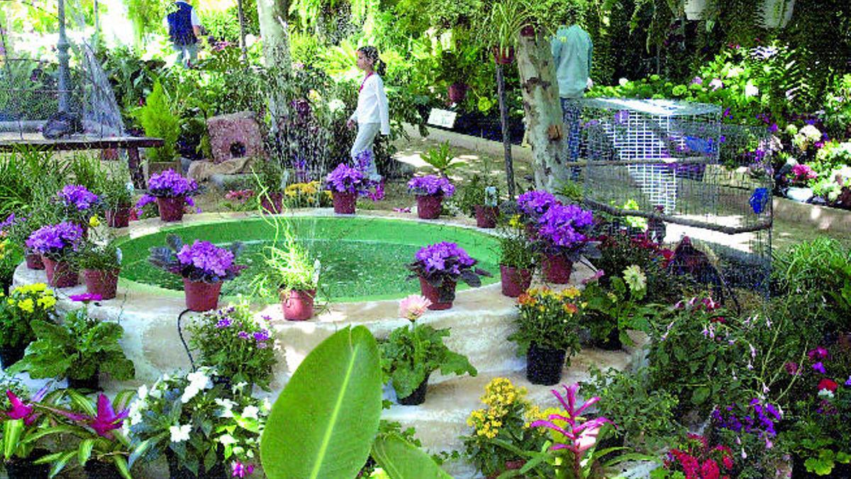 Una exposición de orquídeas, en una edición anterior de Florabrígida