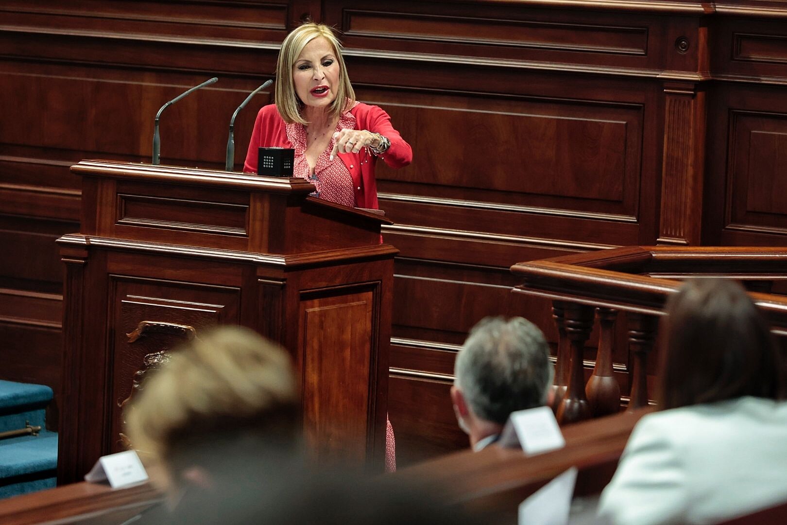 Debate del Estado de la Nacionalidad (tarde)