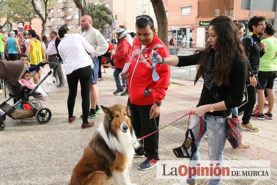 Media Maratón de Murcia: grupos y corredores