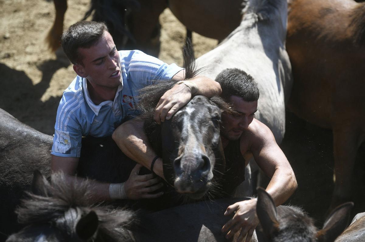 2ª Curro da Rapa das Bestas de Sabucedo, A Estrada.