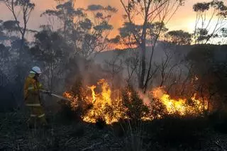 Estado de emergencia en el este de Australia por los incendios