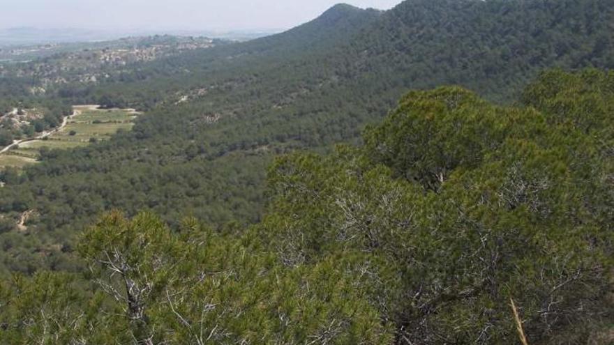 La Generalitat paraliza sus proyectos medioambientales en Escalona y las lagunas