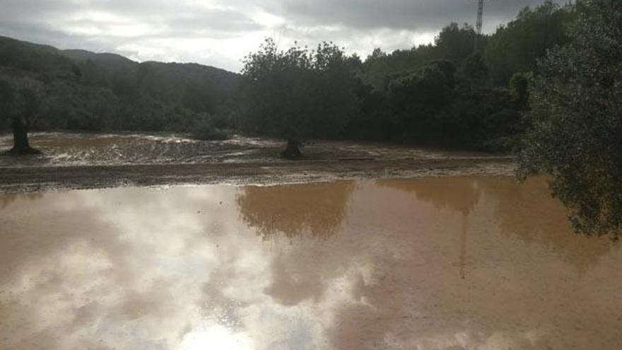 Bancal inundado de agua de lluvia para favorecer su reinfiltración en el subsuelo.