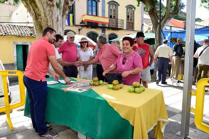 Fiesta de la manzana de Valleseco