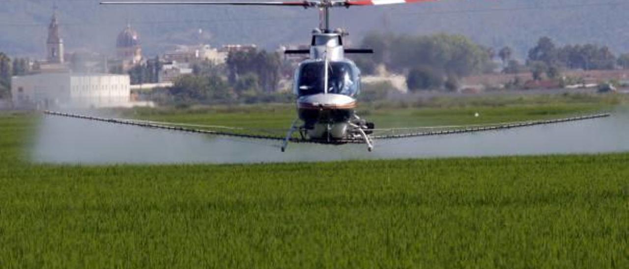 Un tratamiento aéreo contra la mosca negra en campos de arroz de Sueca en una imagen de archivo.