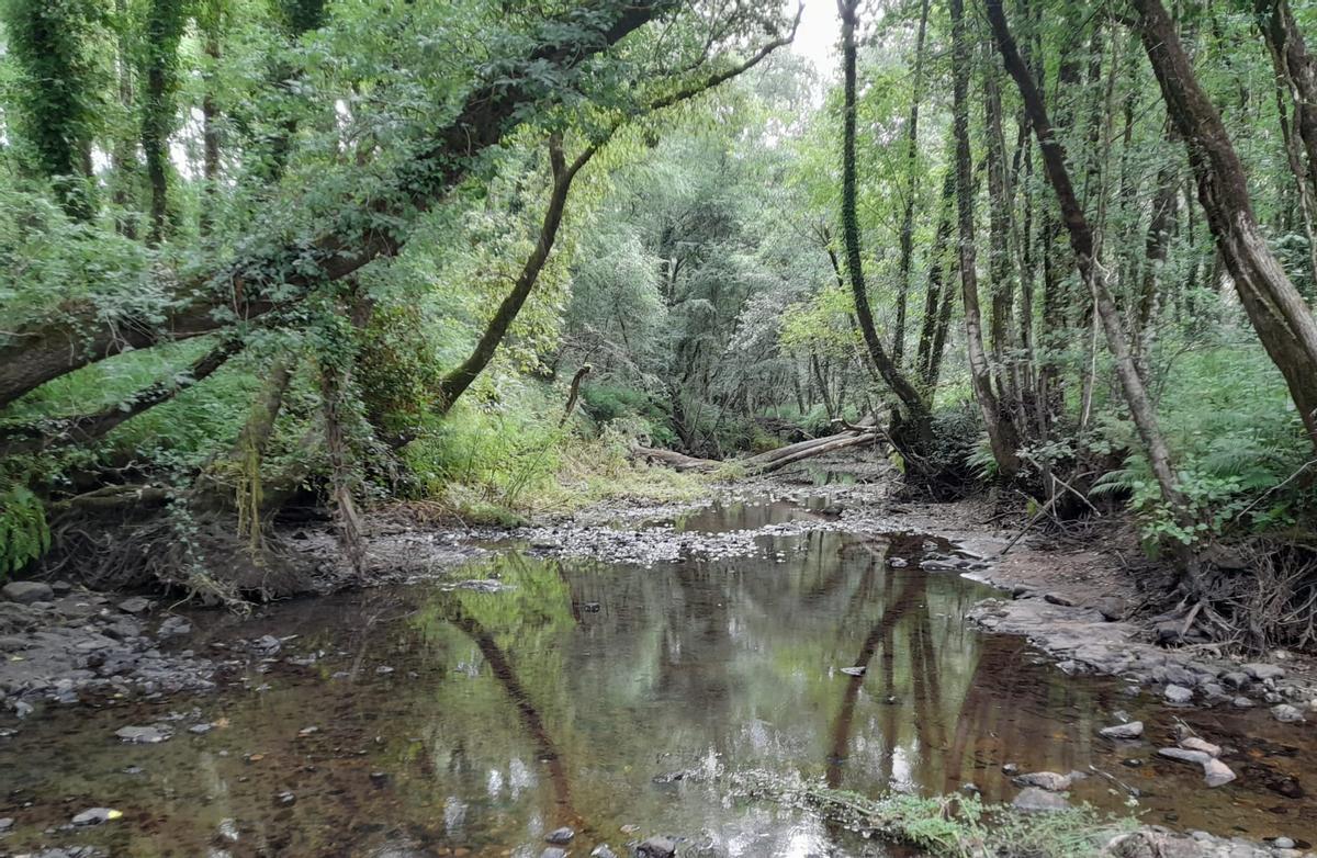 Tramo sin casi agua del río Mendo.