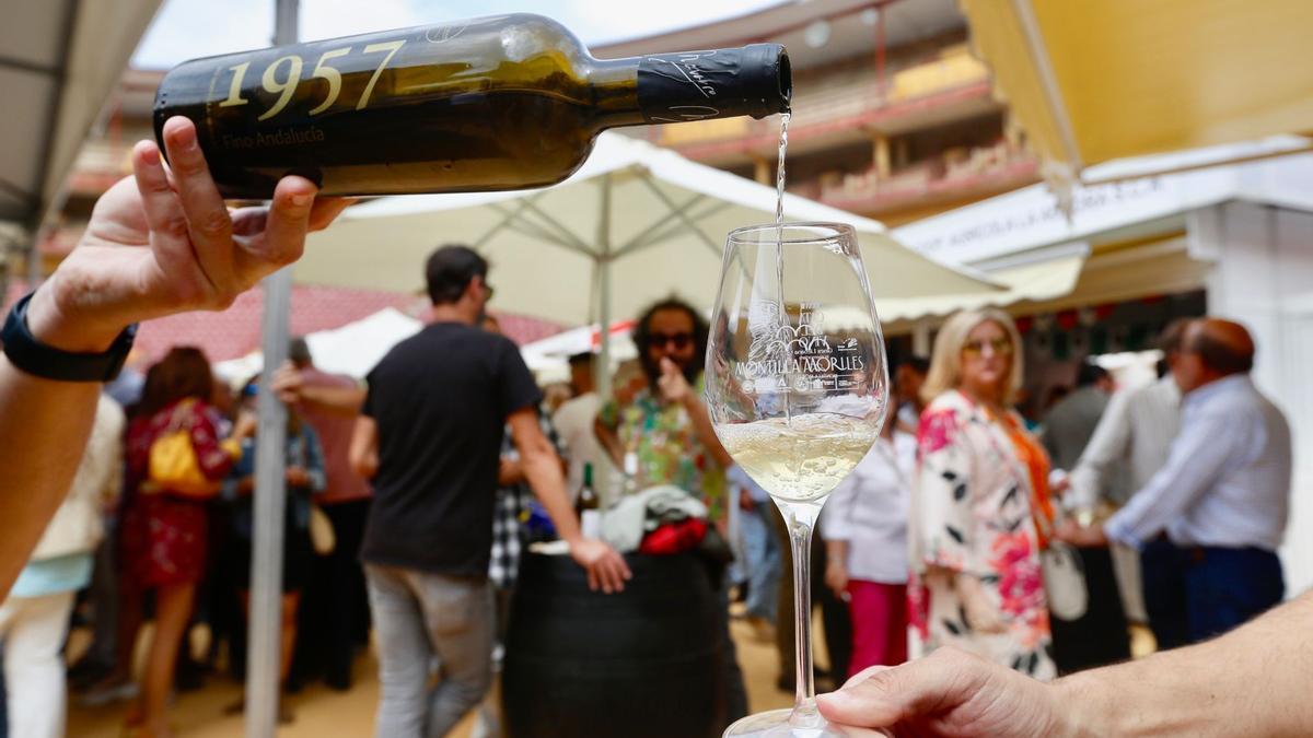 Cata del Vino en la plaza de toros de Córdoba.