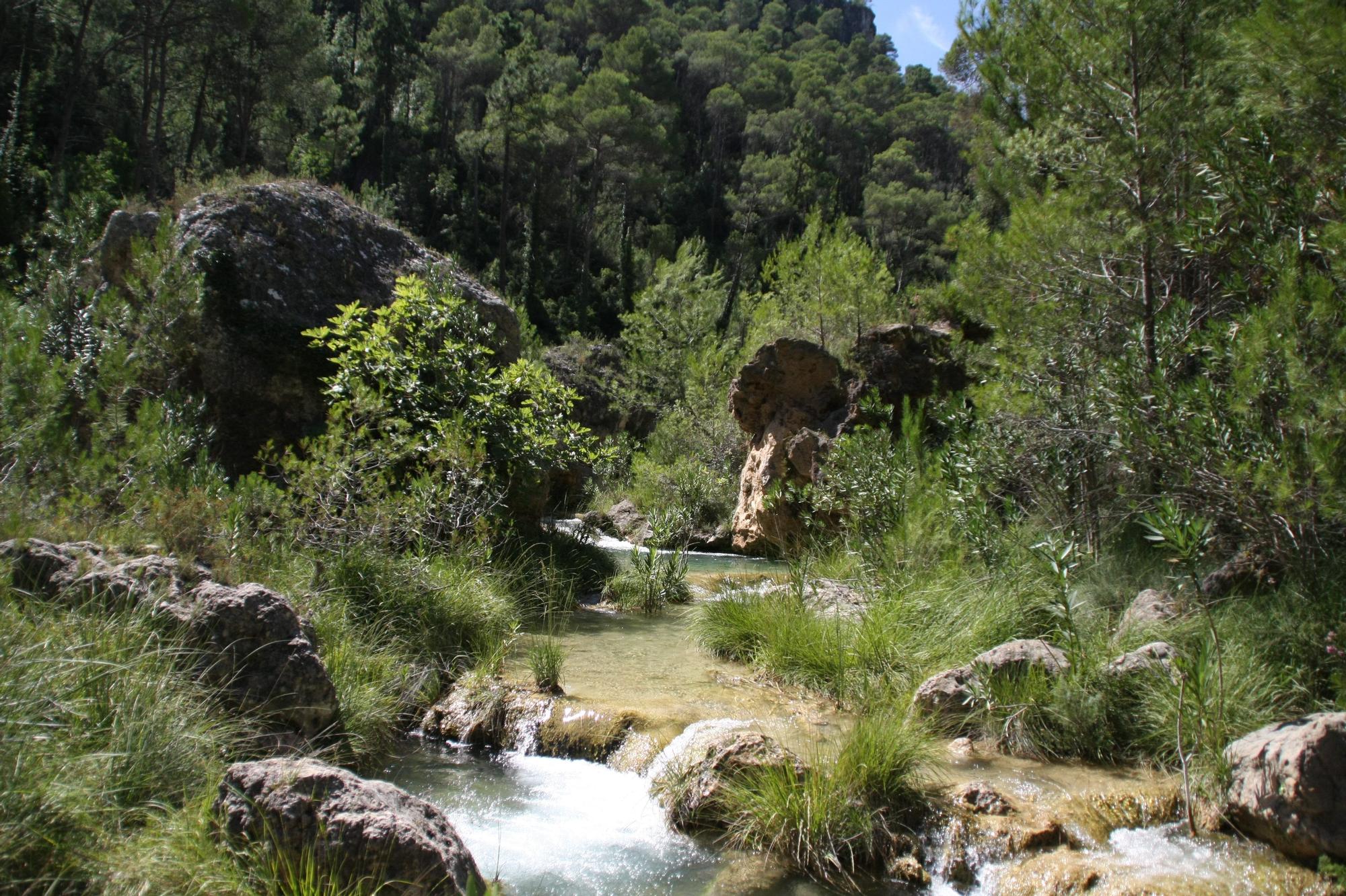 Un paseo por… Bicorp