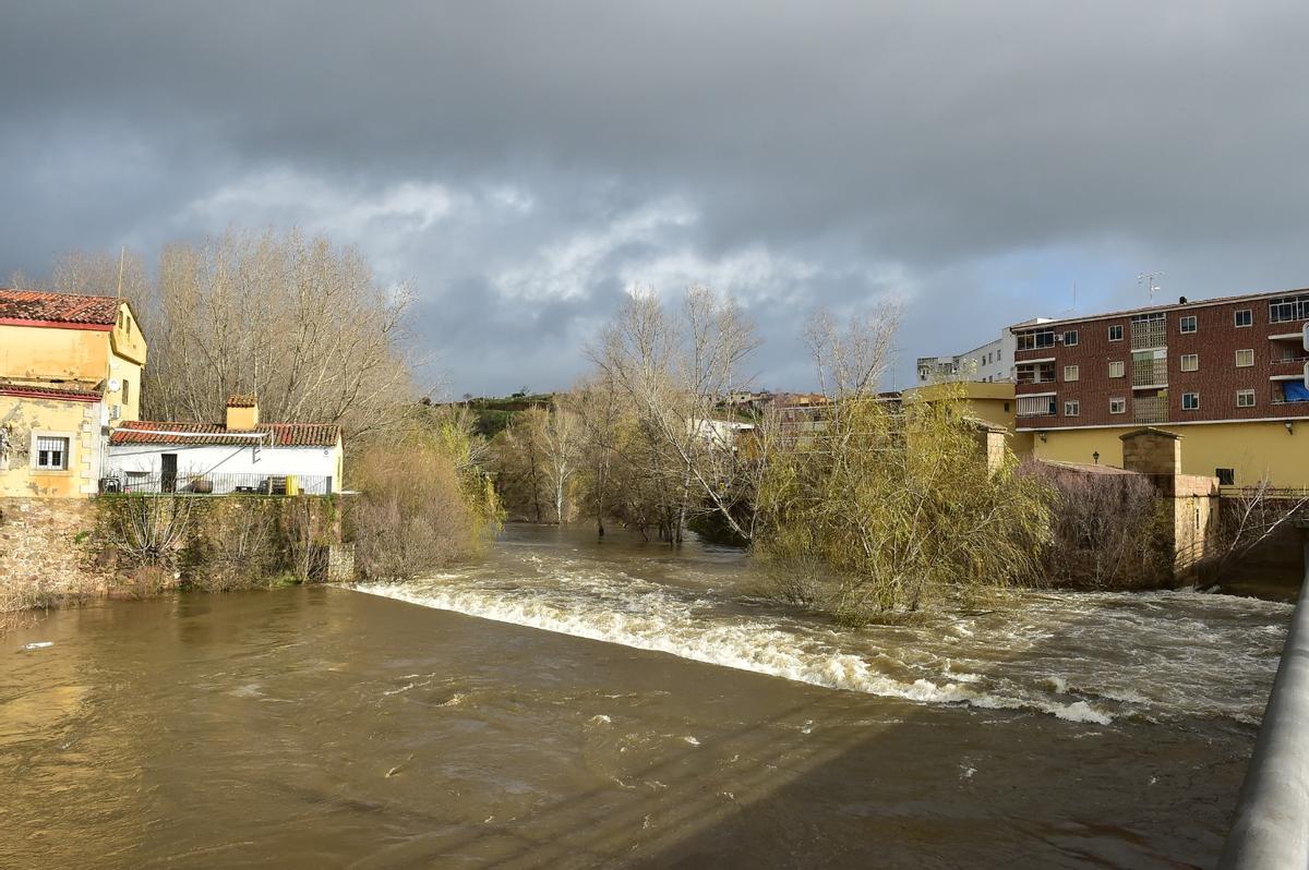 Fotogalería | Imágenes del río Jerte en Plasencia