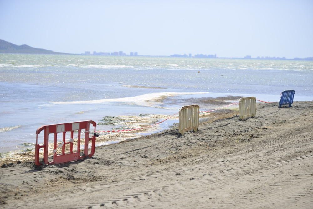 Limpieza del Mar Menor en Los Alcázares