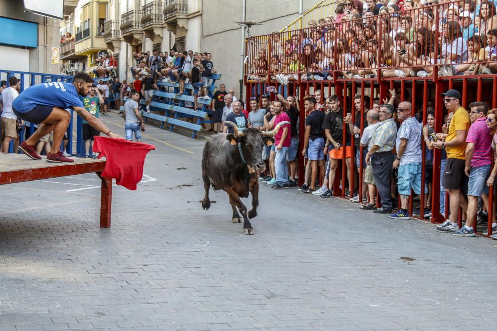 Fiestas de la Vaca de Castalla.