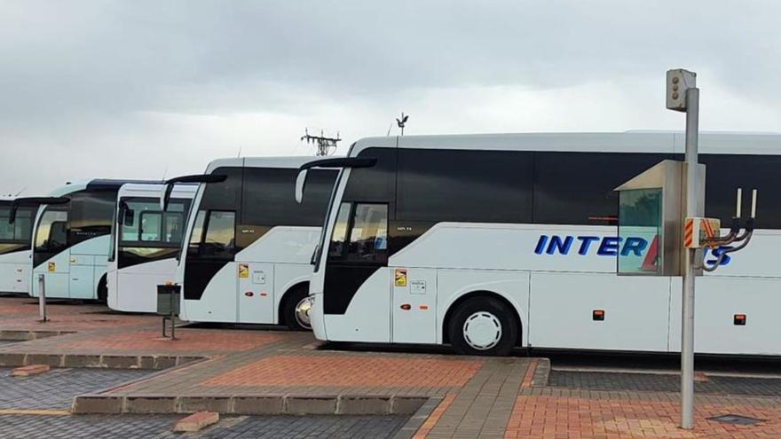 Los nuevos autobuses de Interbus comienzan a funcionar este lunes.  | LA OPINIÓN