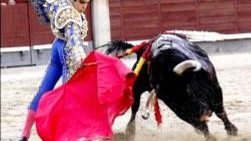 Perera quiso pero no tuvo toros