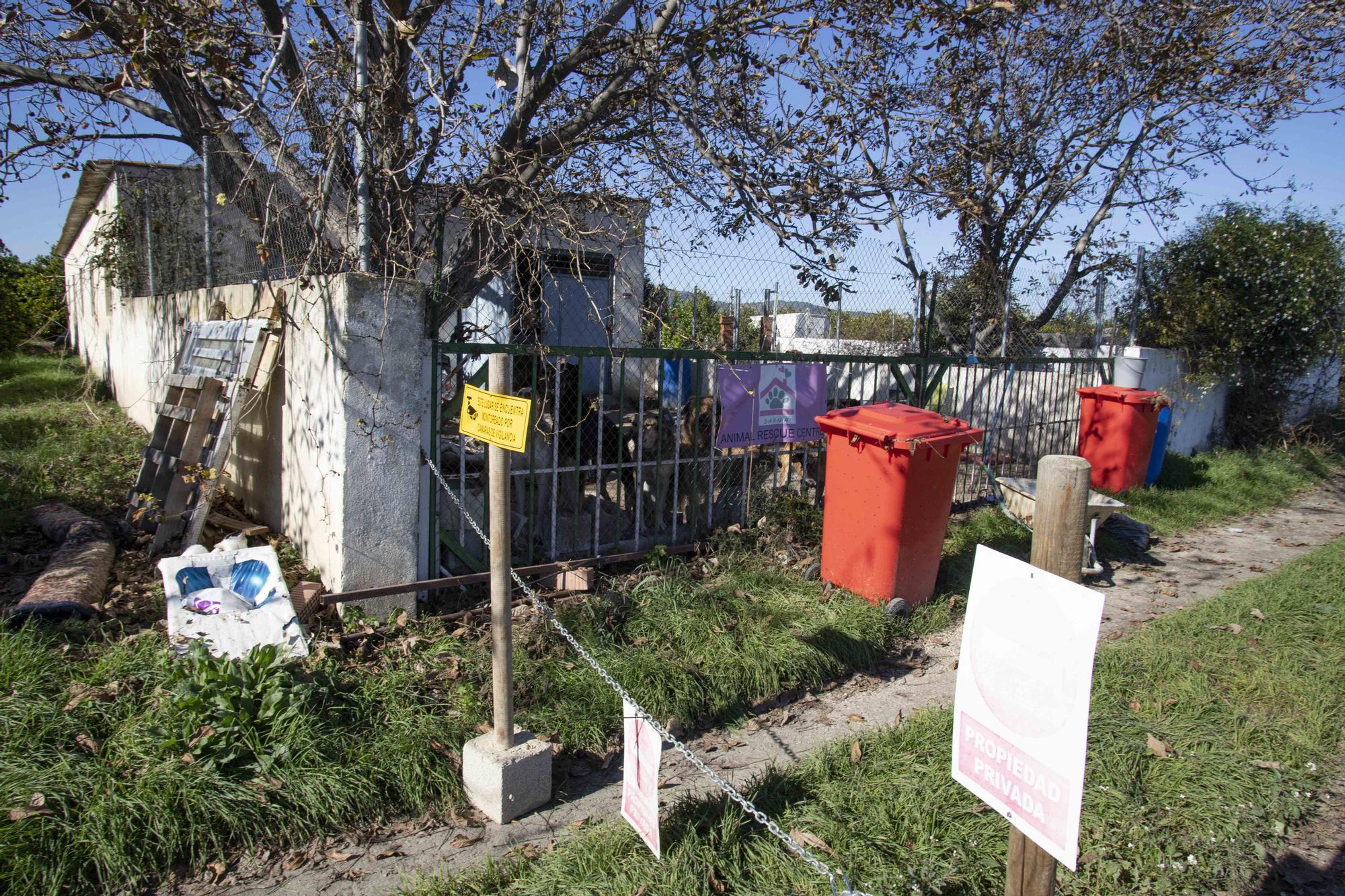 Ordenan la clausura de un santuario animal en Xàtiva