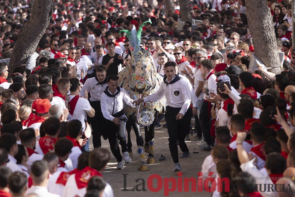 Así se ha vivido la carrera de Los Caballos del Vino en Caravaca