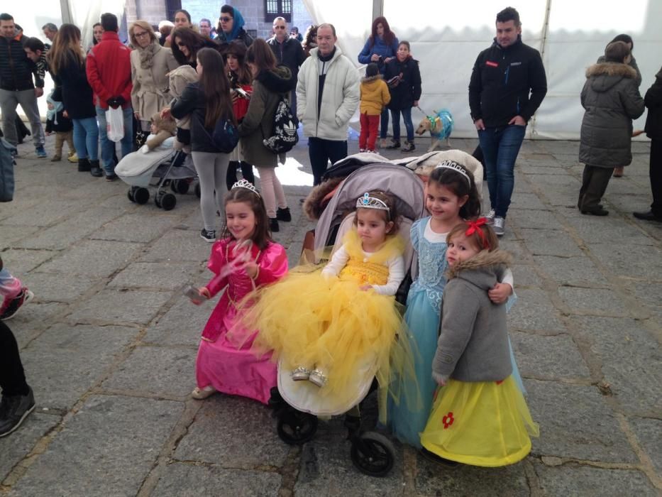 Carnaval en Toro: Concurso de mascotas