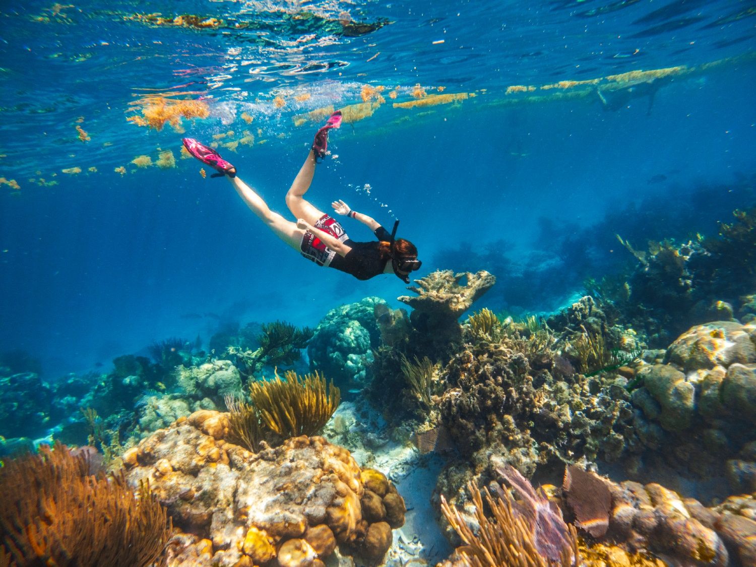 Reserva Hol Chan Marine en Belice.