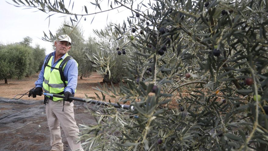 Los nuevos convenios firmados en Córdoba hasta julio alcanzan a casi 90.000 trabajadores