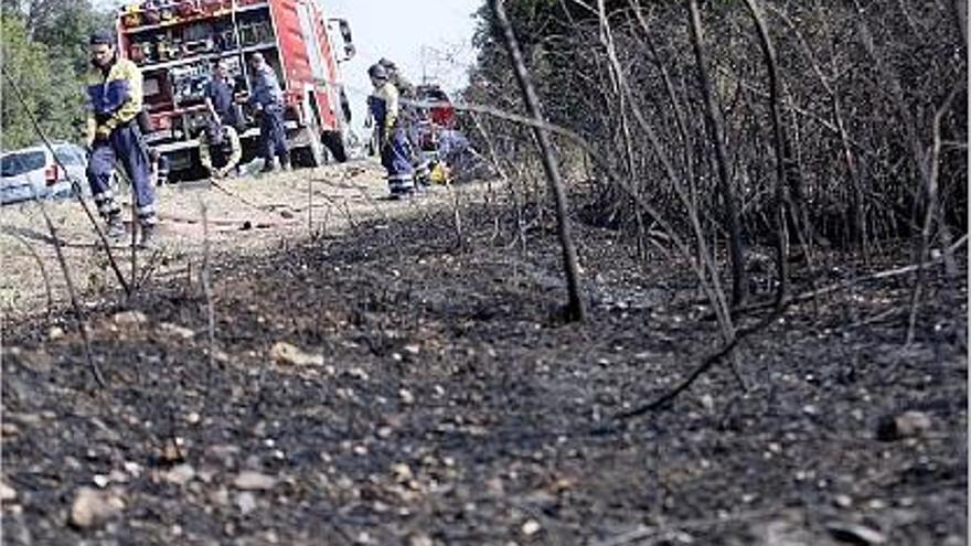 Un foc a Flaçà crema una hectàrea de camp i causa retencions a la carretera