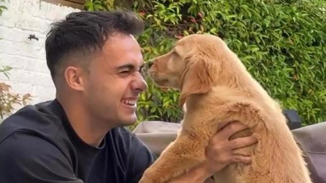 La confesión más inesperada del futbolista Sergio Reguilón: contrató un avión privado de 135.000 dólares para su perro