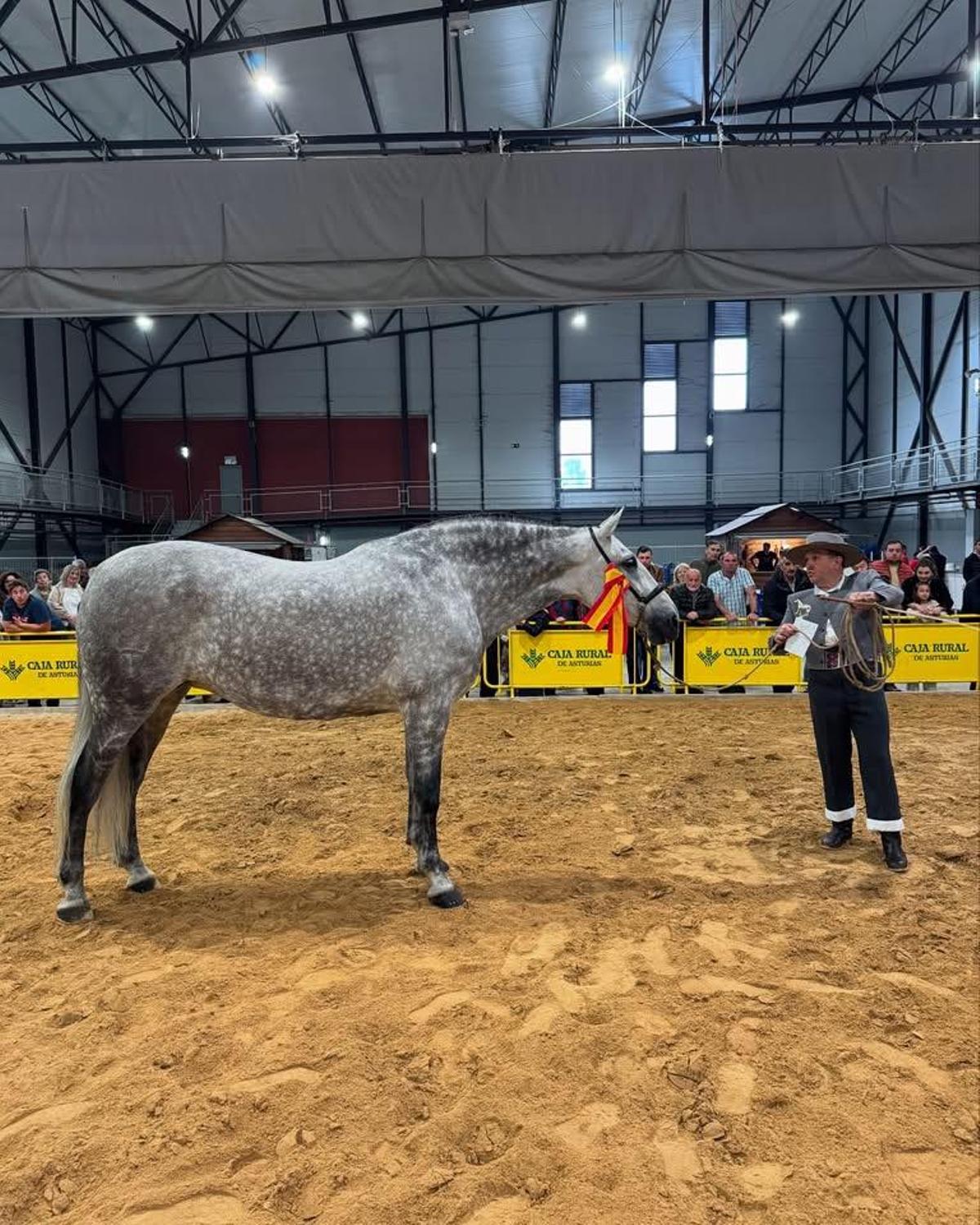 Participantes en la pasada edición de Laviana Ecuestre.