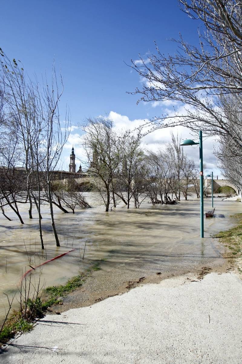 Fotogalería: Crecida del Ebro