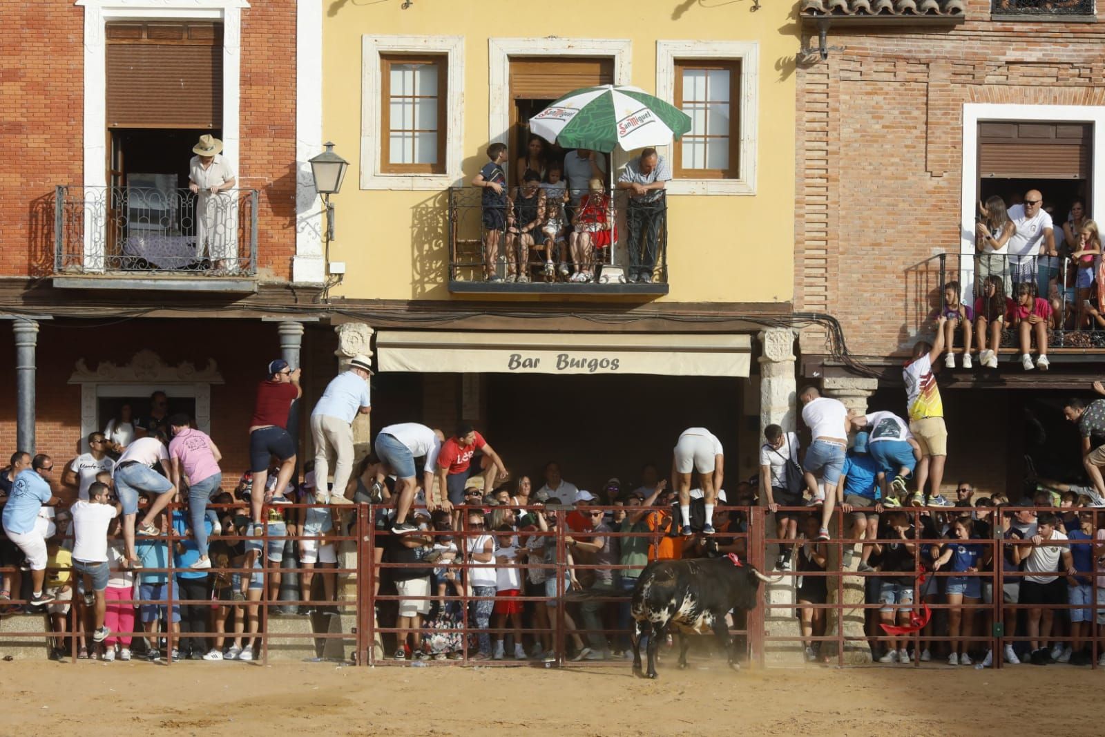 GALERIA | Así vivió Villalpando el XV Toro de la Juventud de Astauvi