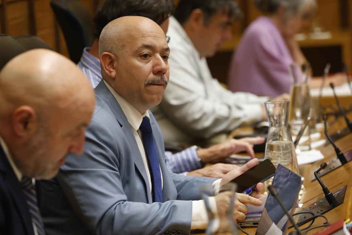 Rodrigo Pintueles, en un momento del Pleno.