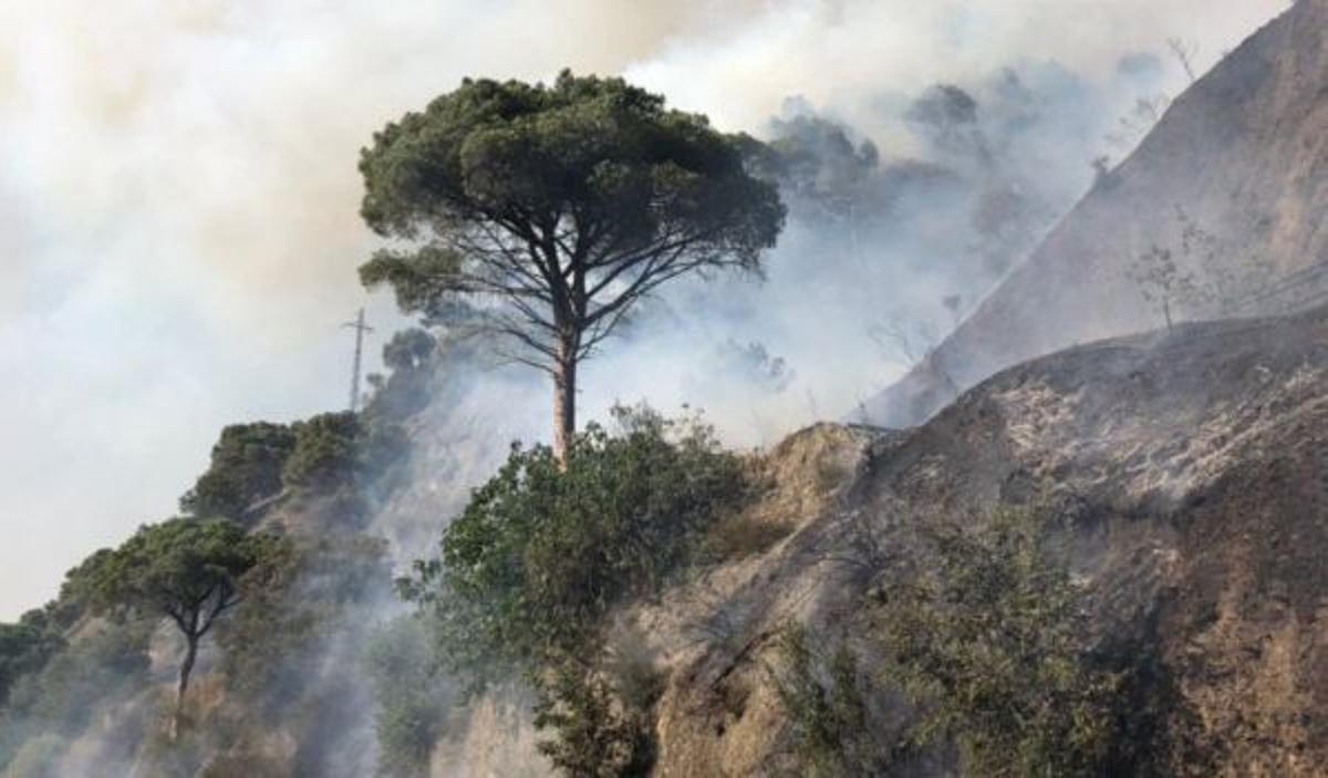 Imágenes del incendio de Capellades.