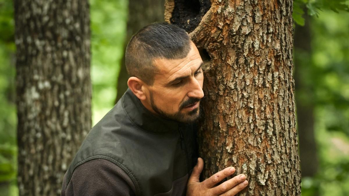 Agente forestal en España