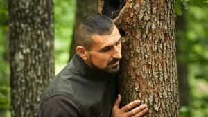 Agente forestal en España