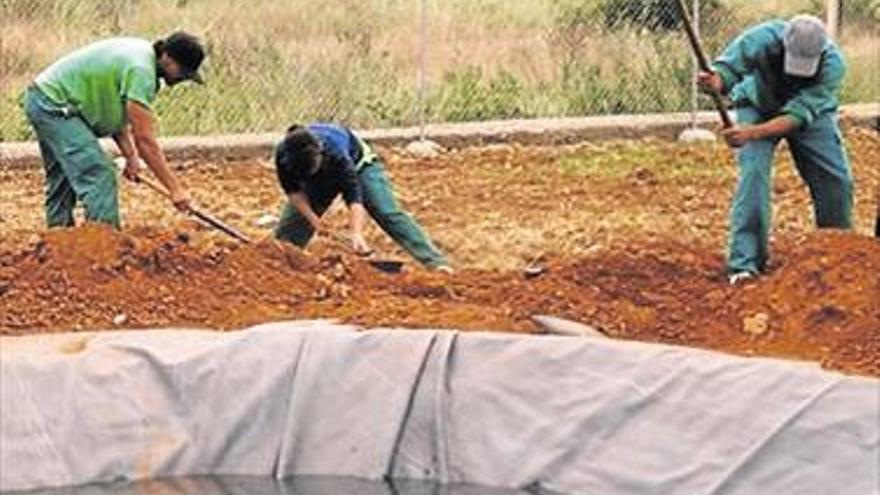 CÁRITAS CREA UN HUERTO URBANO  EN CASTELLÓN