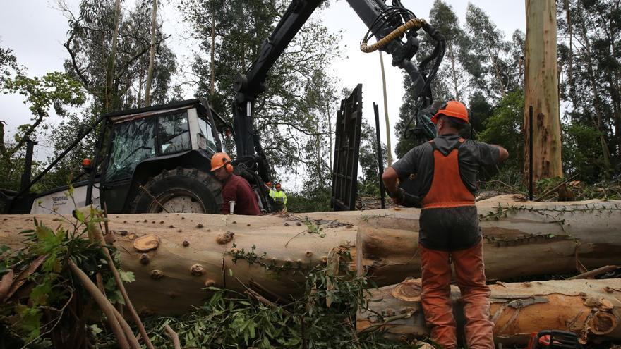 La comarca pierde 385 trabajadores desde el verano, pero suma 10.000 desde la pandemia