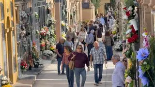 Así prepara Elche el Día de Todos los Santos: líneas de autobús reforzadas, ayuda para colocar flores en los cementerios y 420 policías