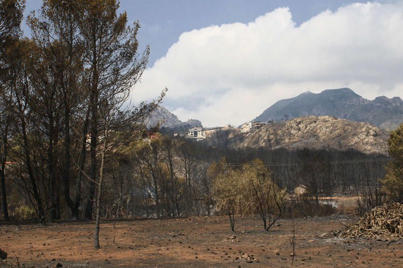 Así están las viviendas afectadas por las llamas