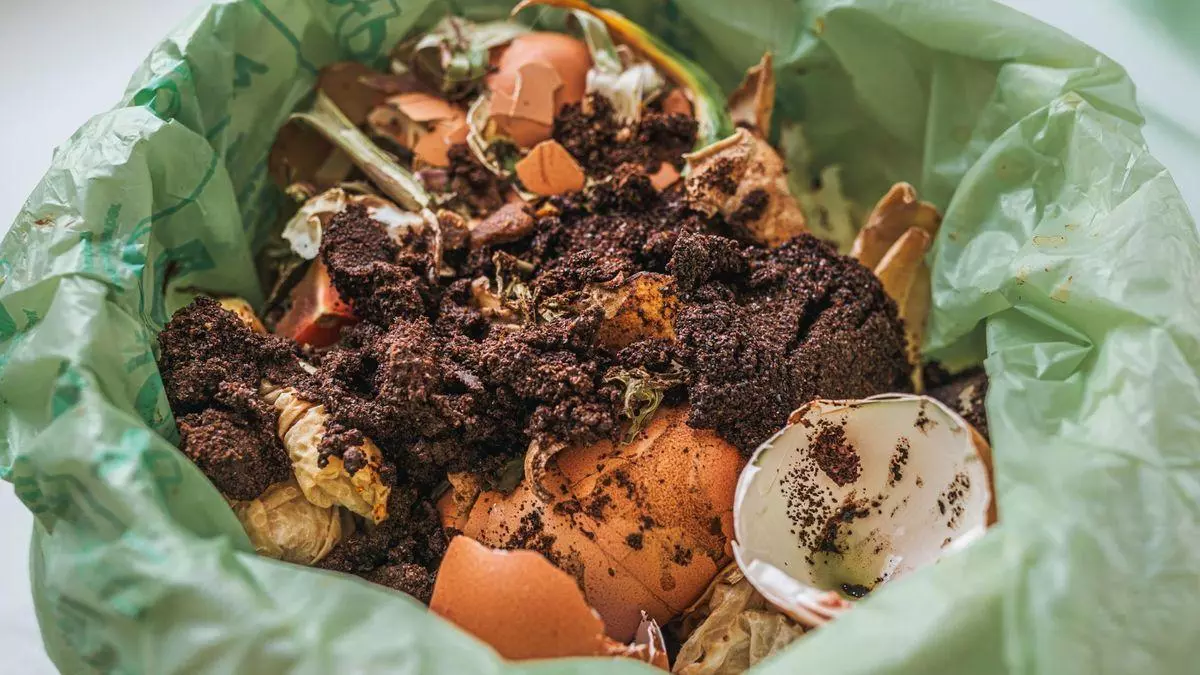 ¿Tu cubo de basura huele fatal? Con este truco casero dejará de hacerlo