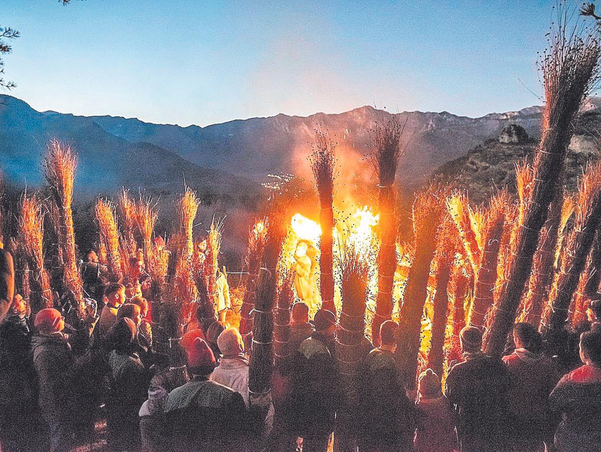 Les faies de Nadal al nord del Berguedà